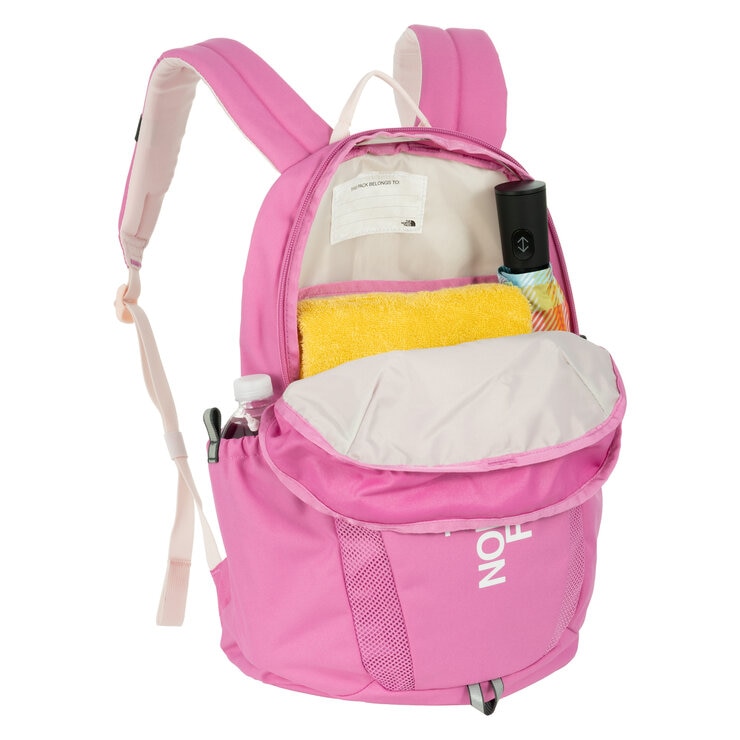 ザ・ノース・フェイス ユース ミニ リーコン バックパック NF0A52VX