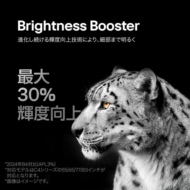 LG 83インチ 4K 有機ELテレビ OLED83C4PJA LG 83インチ 4K 有機ELテレビ OLED83C4PJA