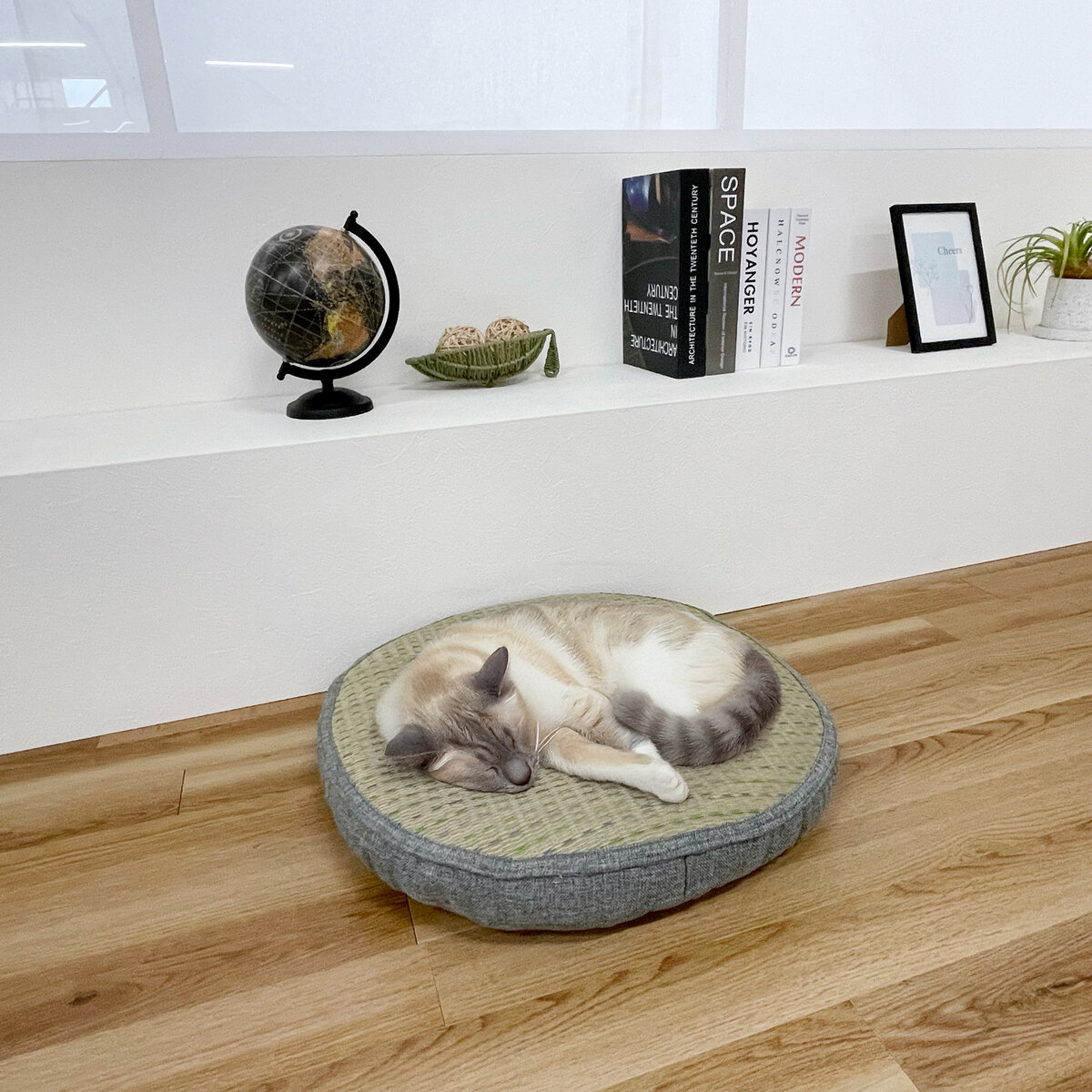 い草素材 猫用ベッド