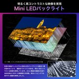ハイセンス 65インチ 4K Mini LED×量子ドット 液晶テレビ 65U8N