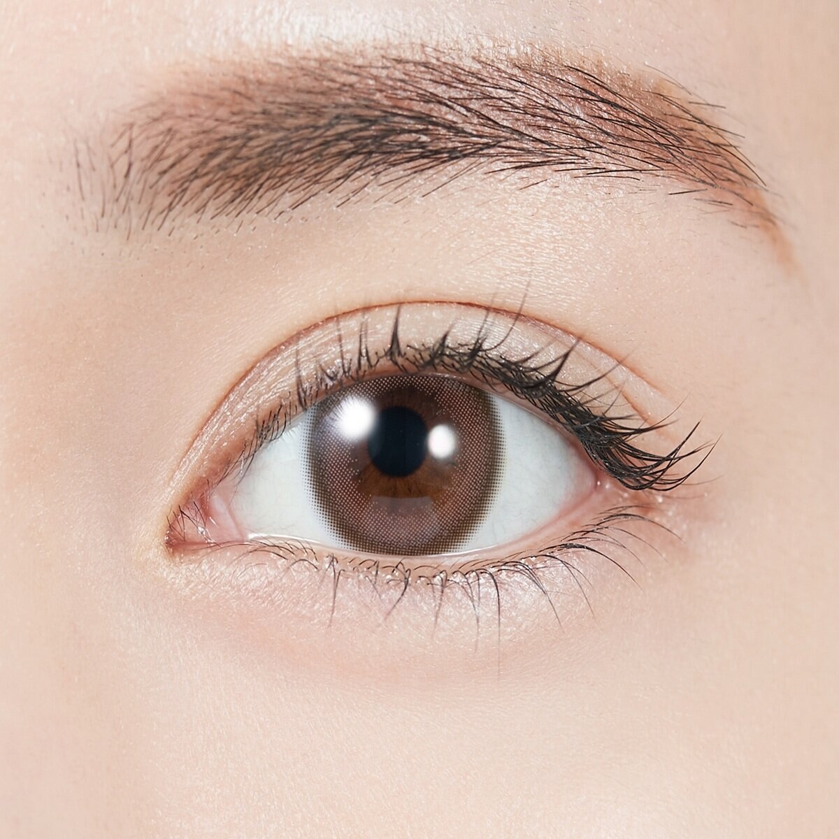 トパーズ ワンデー クリームローズ 10枚入り 指原莉乃イメージモデルカラコン 度なし (±0.00)