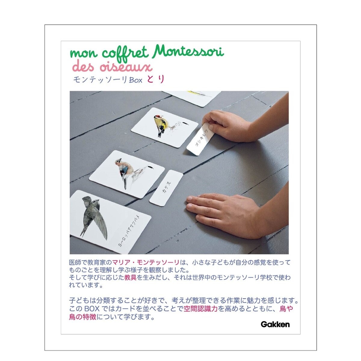 Gakken モンテッソーリBOX とり