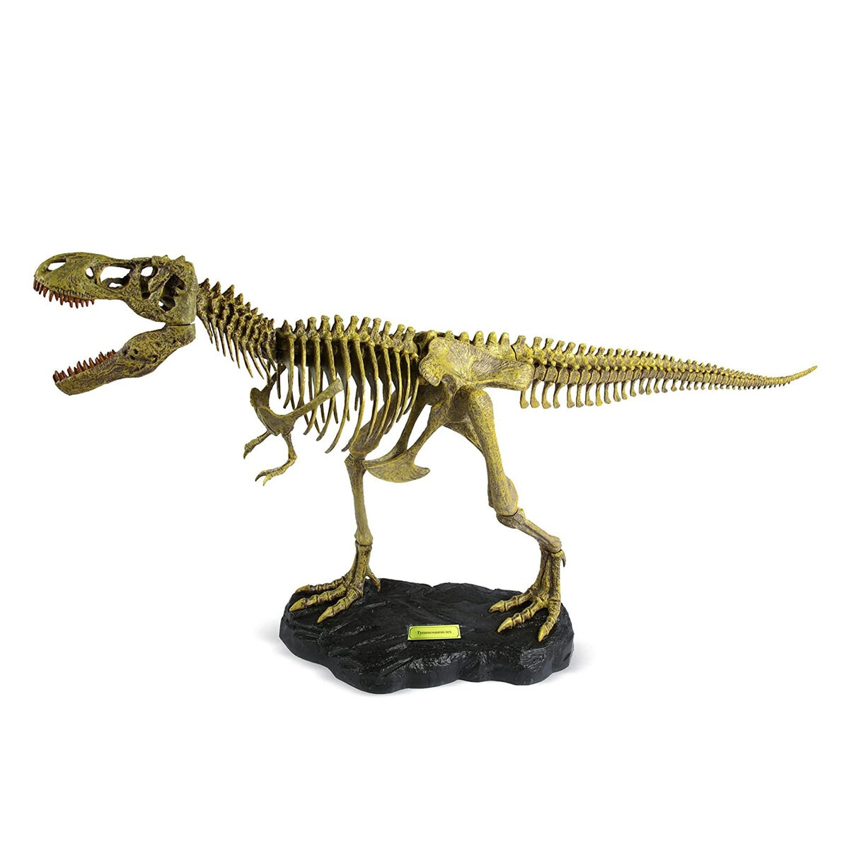 ジオワールド ティラノサウルス 骨格模型