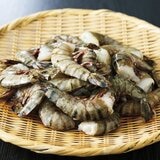 無頭ブラックタイガー8/12