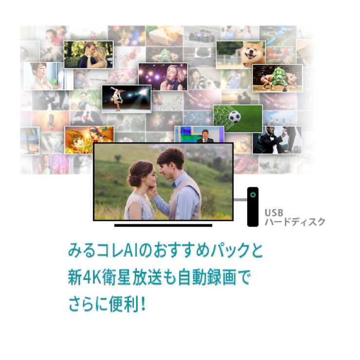 東芝 レグザ 55インチ 4K HDR液晶テレビ 55M530X 東芝 レグザ 55インチ 4K HDR液晶テレビ 55M530X