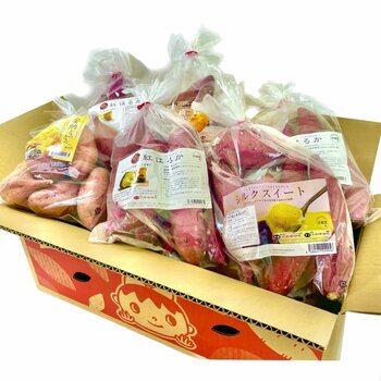 さつまいも 品種おためし6袋セット 合計9kg入り