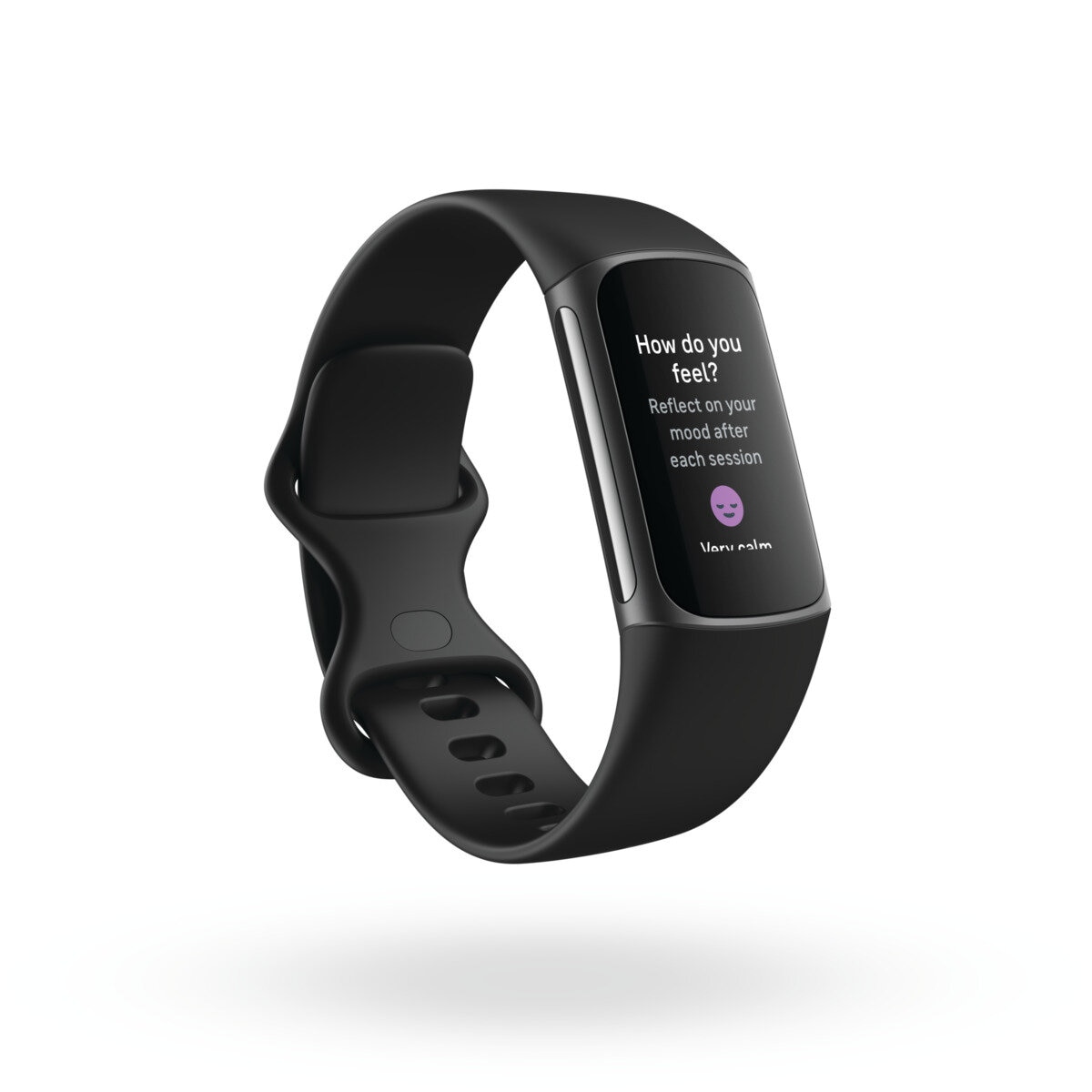 fitbit Charge 5 健康管理トラッカー FB421BKBK-FRCJK ブラック／グラファイト ステンレススチール