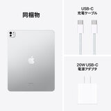 Apple iPad Pro 13インチ M4 WiFi 256GB 標準ガラス搭載 シルバー