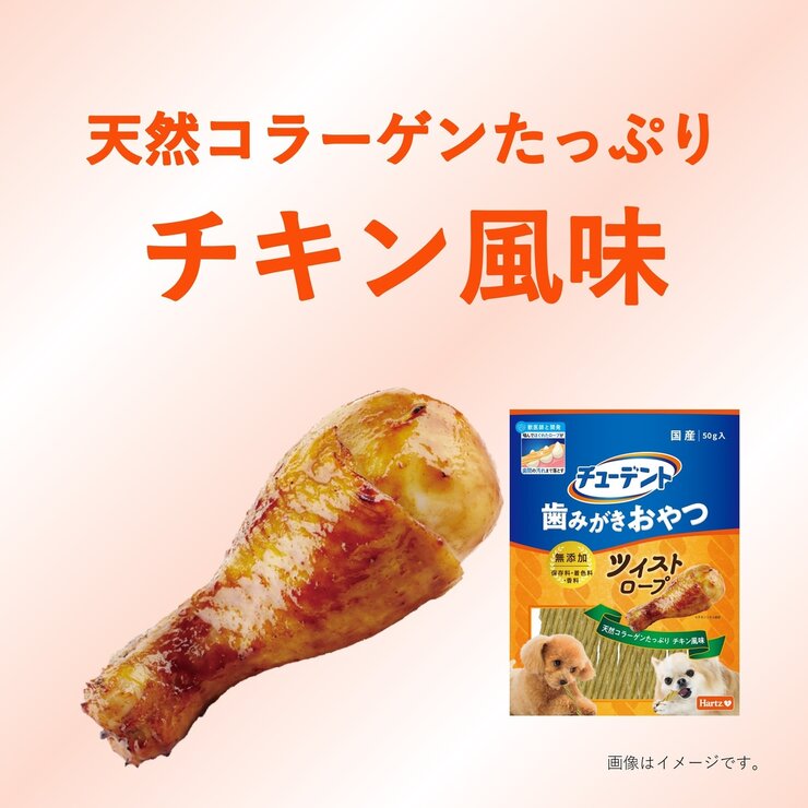 チューデント 歯磨きガム 50g 愛犬用 チューデント 歯磨きガム 50g 愛犬用