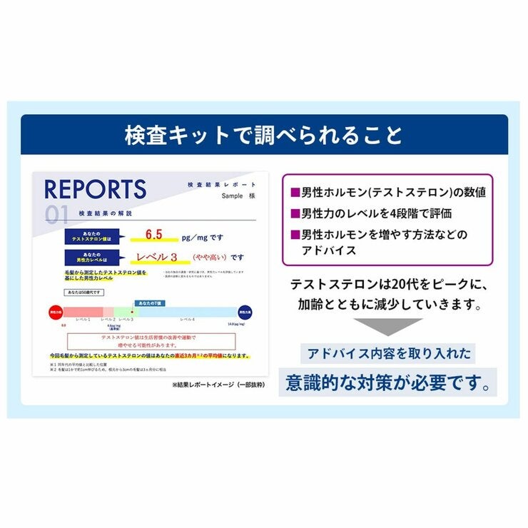 毛髪ホルモン量測定キット~テストステロン~(男性更年期セルフチェックキット) 毛髪ホルモン量測定キット~テストステロン~(男性更年期セルフチェックキット)