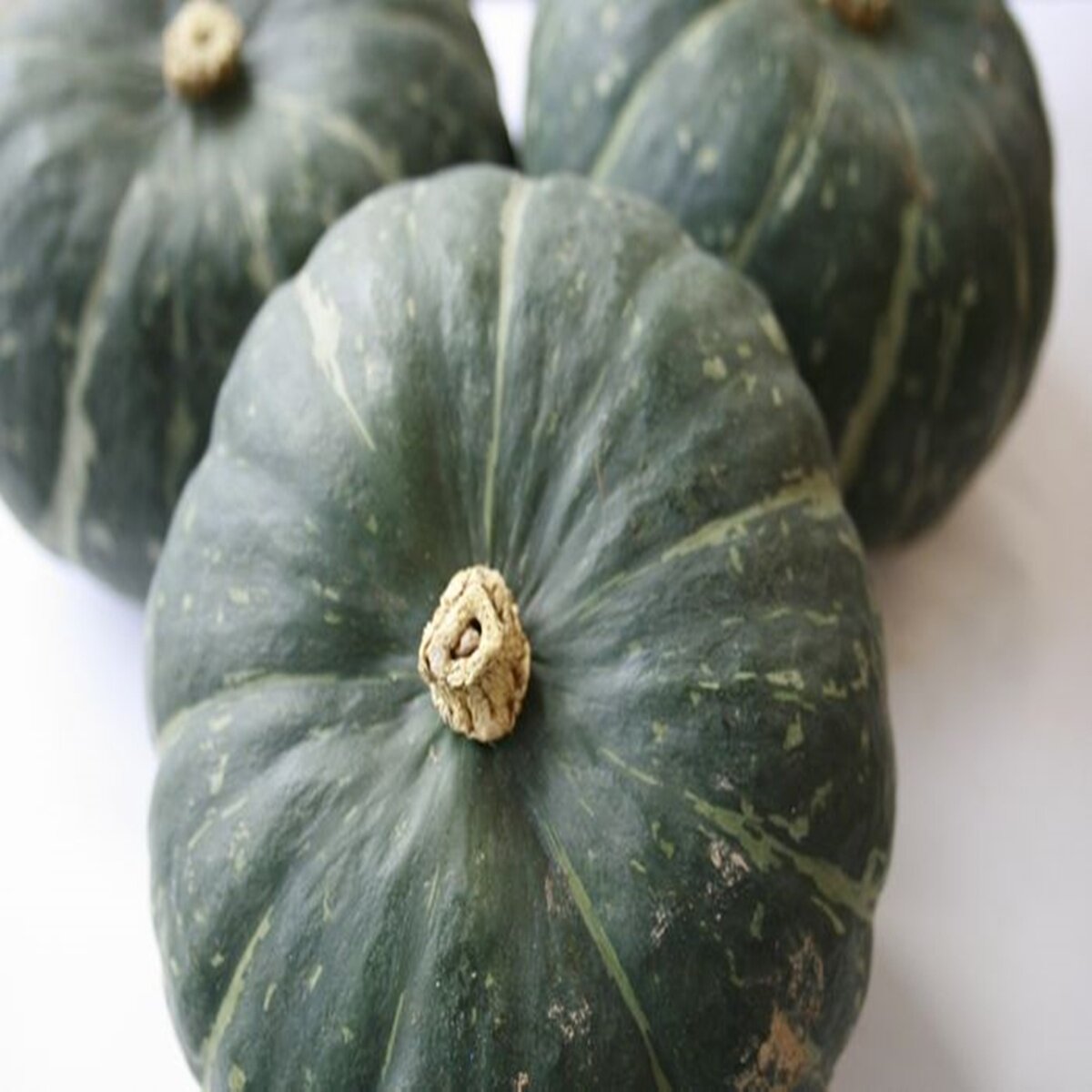 マロンドール かぼちゃ１個