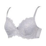 トリンプ・インターナショナル・ジャパン 4/5 カップレースブラ プラチナグレー/ネイビー D80