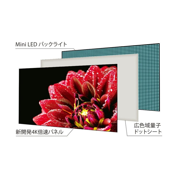 レグザ 55インチ 4K 量子ドット ミニLED 液晶テレビ 55Z870L