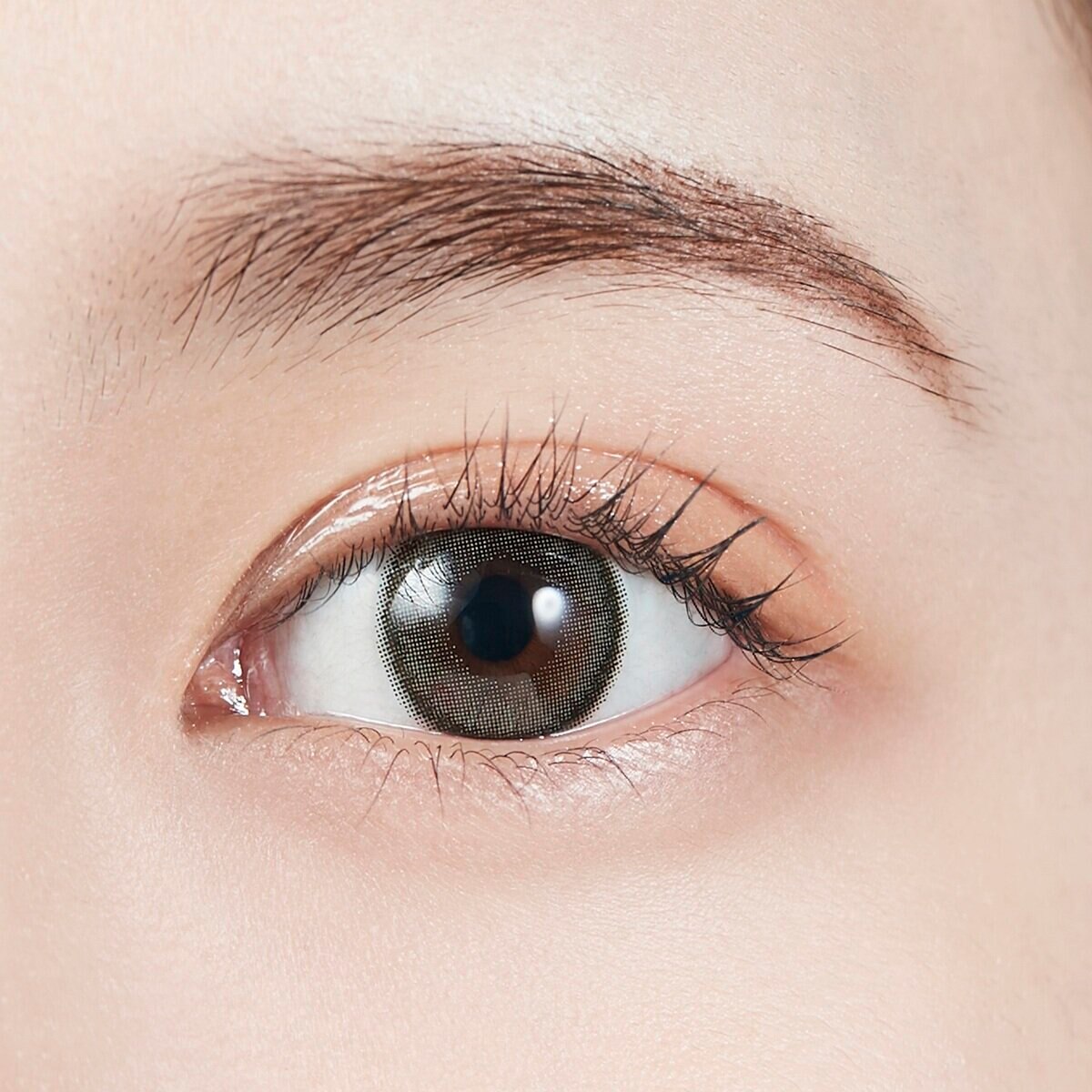 モラク ワンデー ダズルグレー 10枚入り 宮脇咲良イメージモデルカラコン 度なし (±0.00)