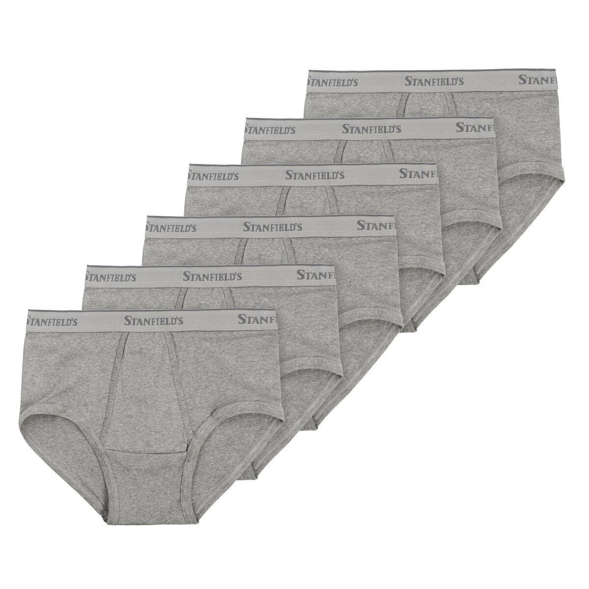 STANFIELDS メンズ ブリーフ 6枚組 S グレー