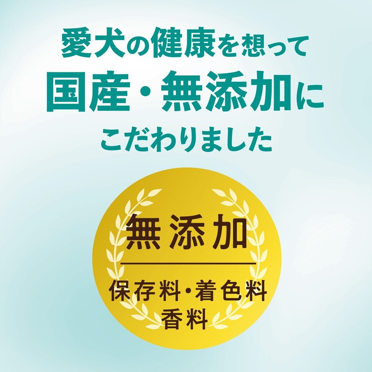 チューデント 犬用歯磨きガム 5本 x 3袋 ご褒美チキン風味