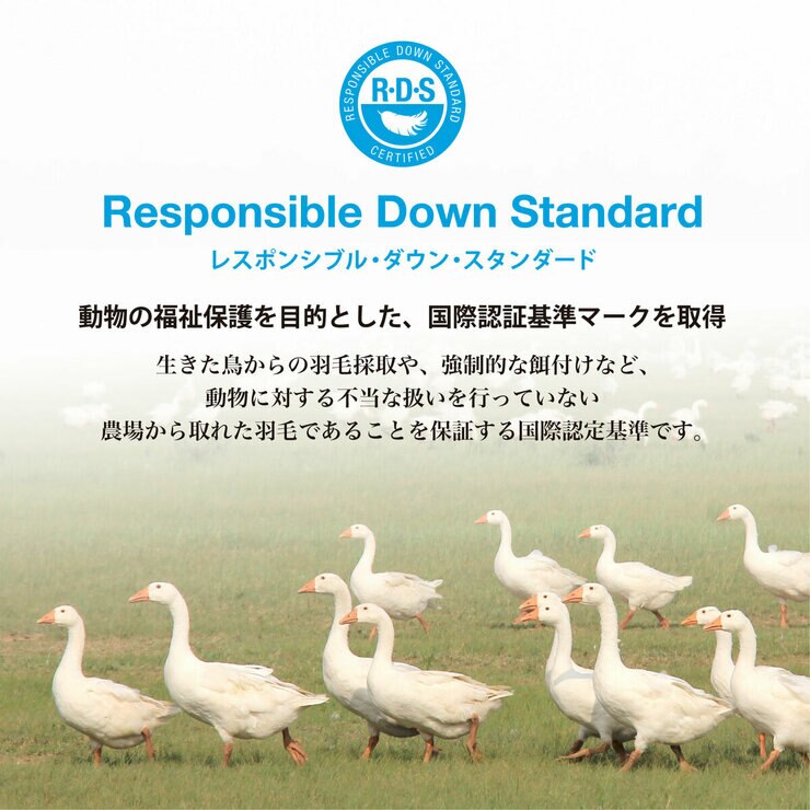 羽毛布団 ウクライナ ナチュラルグースダウン 93％ キング グレー