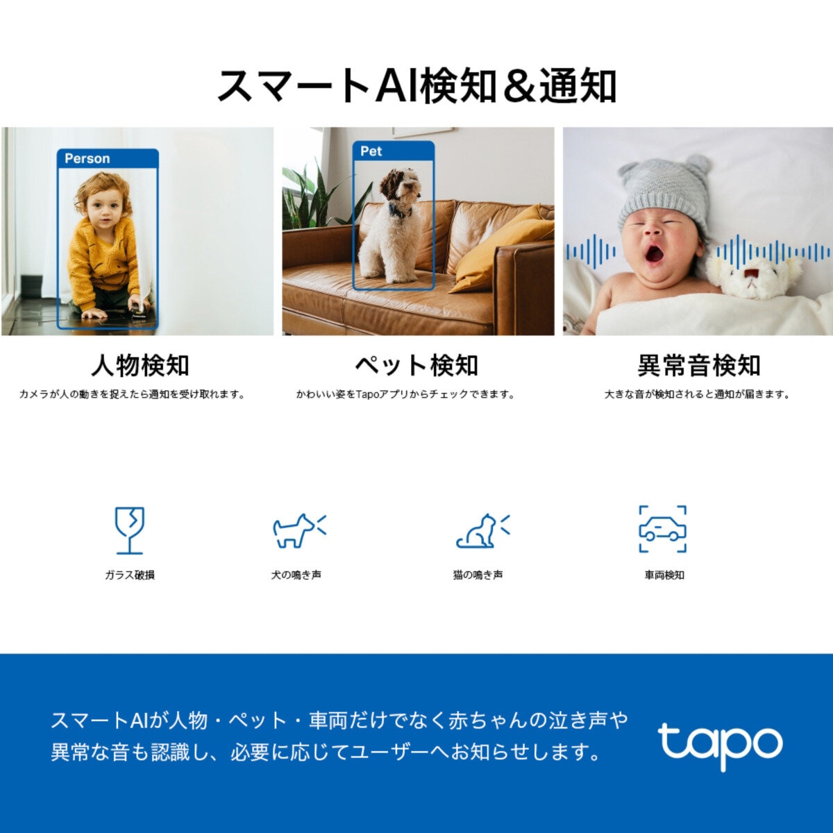TP-Link 400万画素 2K QHD ネットワークWi-Fiカメラ 屋内カメラ 見守りカメラ ペットカメラ 夜間撮影 パンチルト メーカー保証3年