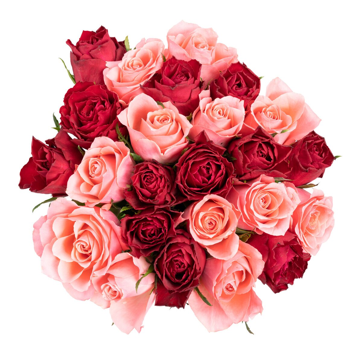 ROSE BOUQUET 24stems Red & Pink Mix Roses