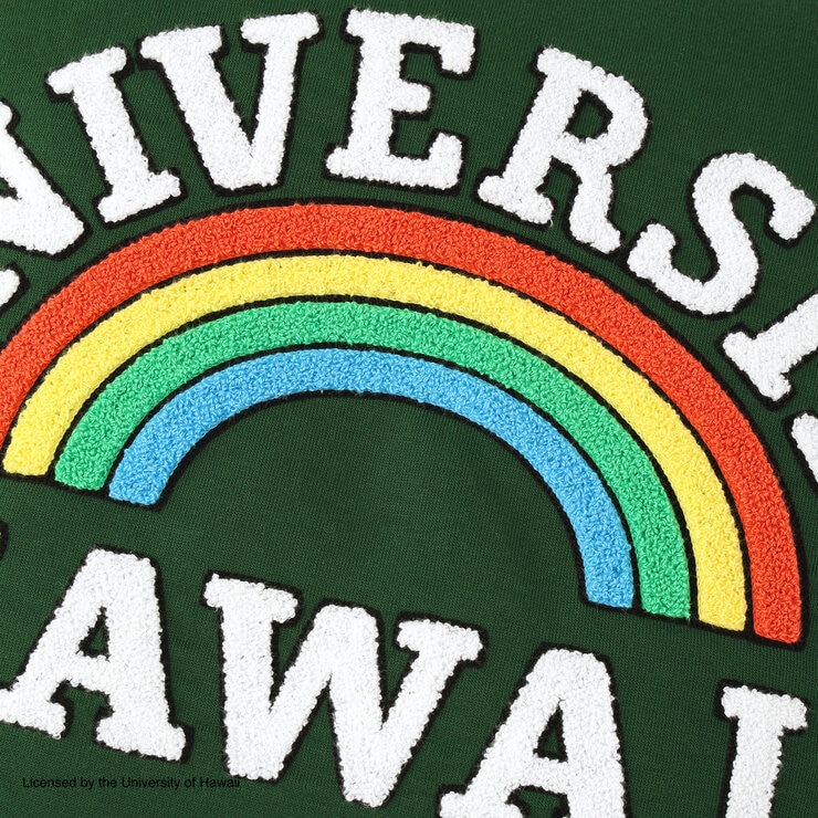 カレッジ デコピロー ハワイ