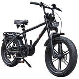 ROCKA FLAME 20インチ 電動アシスト ファットバイク HAYATE マットブラック