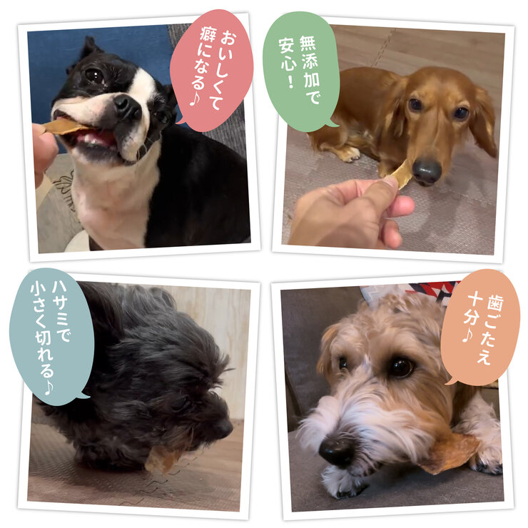 牛タン皮480ｇ国産 愛犬用