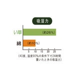 い草 枕 2個パック アイボリー