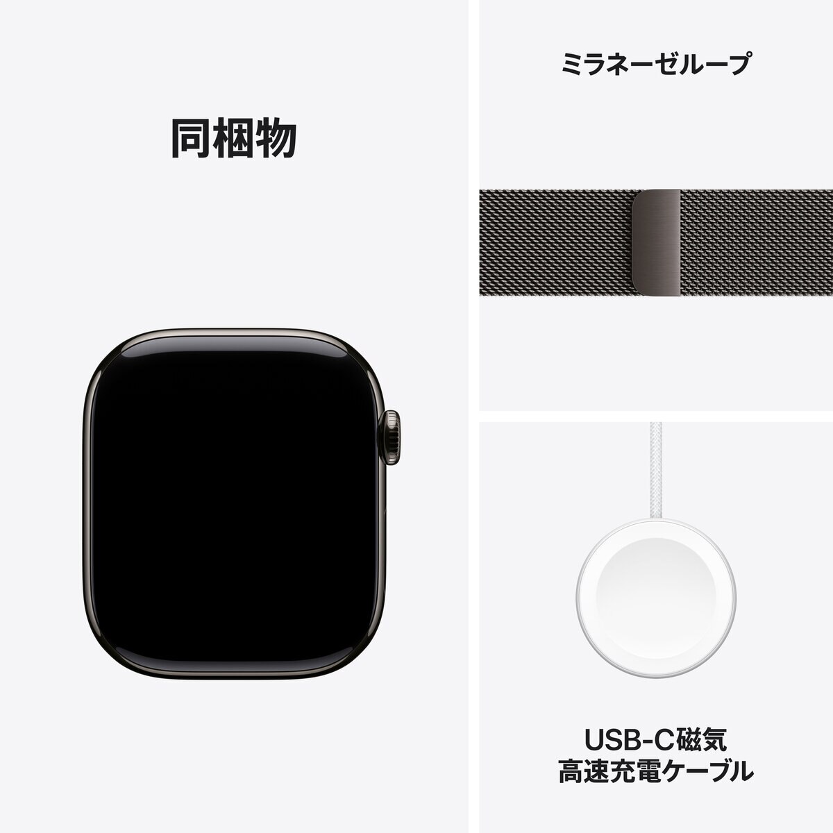 Apple Watch S11 Cellular 46mmスレートチタニウムケースとスレートミラネーゼループ - S/M