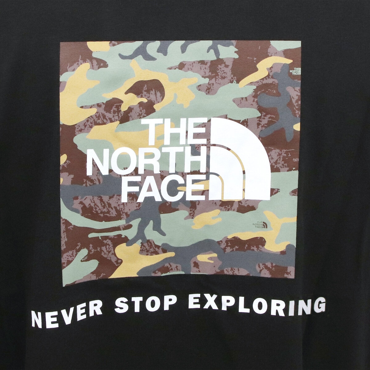 ザ ノースフェイス メンズ エボリューション ボックス カモ フィル 半袖 Tシャツ ブラック M