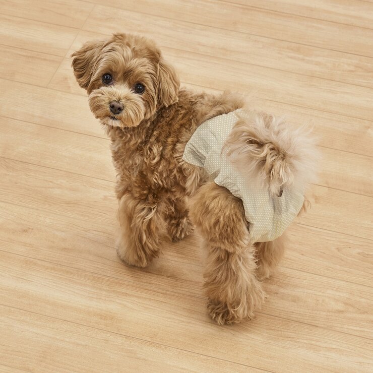 アイリスオーヤマ ペット用おむつ オスメス兼用 S-Mサイズ 50枚