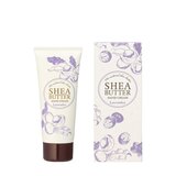 生活の木 シアバターハンドクリーム 60g ラベンダー