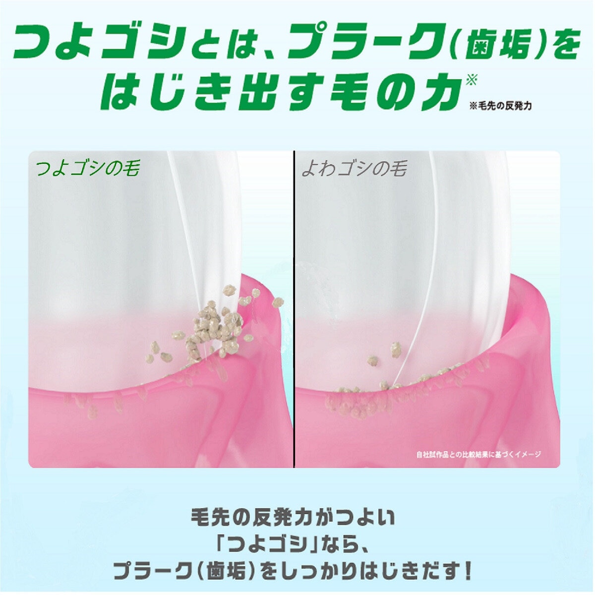 GUM (ガム) デンタルブラシ　12本組
