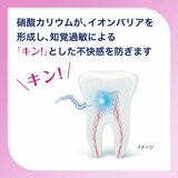 薬用シュミテクト歯周病ケア 100g x 5