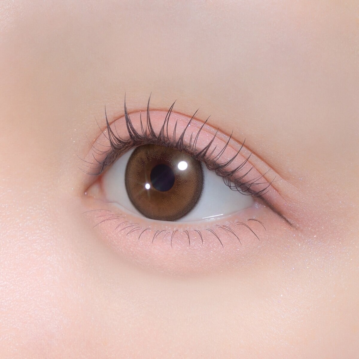 シャプン ワンデー きらゆめブラウン 10枚入り 齊藤なぎさイメージモデルカラコン 度なし (±0.00)