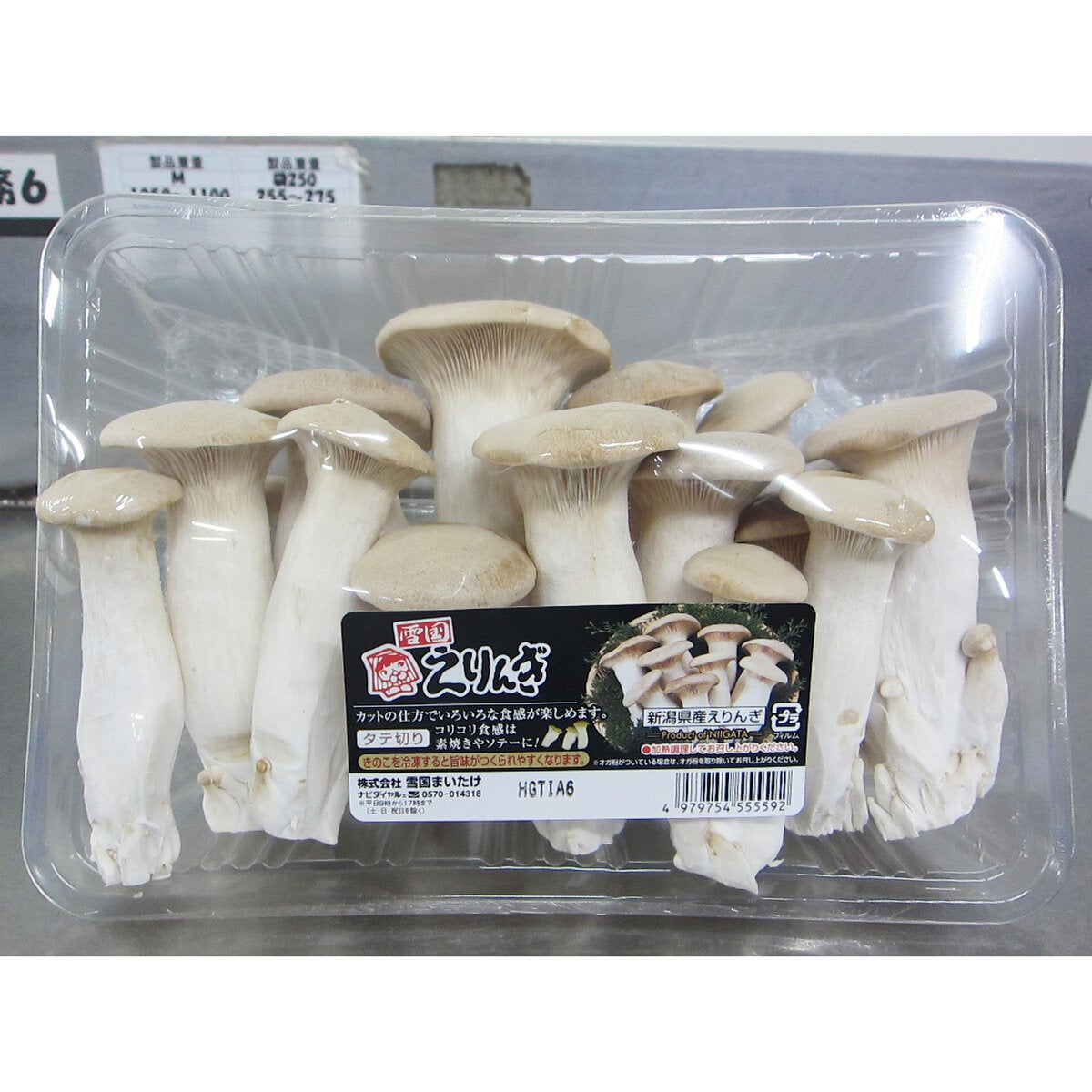 雪国えりんぎ500ｇ