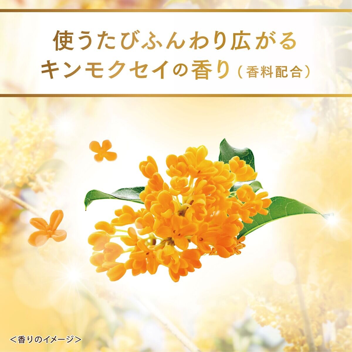 LUX (ラックス) スーパーリッチシャインとろとろキンモクセイトリートメント 300g x 2