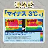 西川 冷感まくらカバー 2枚パック グレー