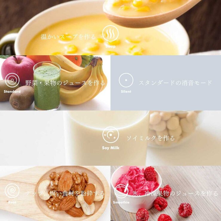 ダネッツ プロフェッショナルブレンダー D103