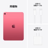 Apple iPad A16 Wi-Fiモデル 512GB - ピンク