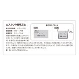 秋植え球根 ムスカリ 25球