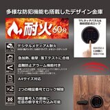 ディプロマット プレミアム金庫 DBAUM 36L DBAUM500