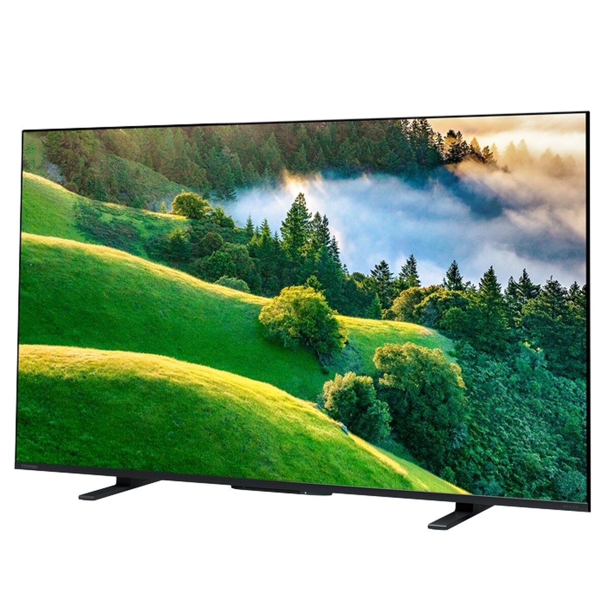 東芝 レグザ 50インチ 4K HDR液晶テレビ 50M550L | Costco Japan