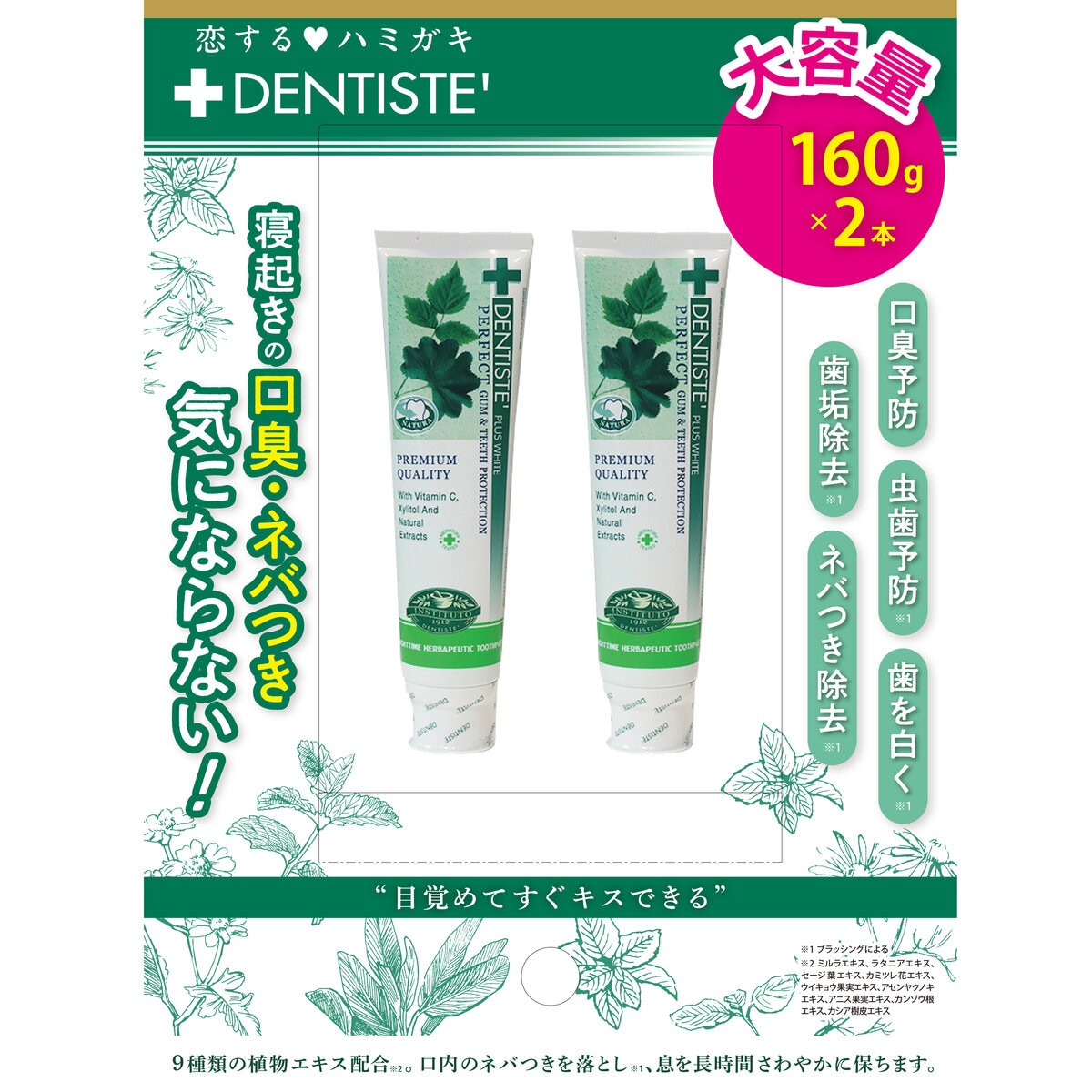 デンティス 歯磨き粉 チューブタイプ 160g x 2本 | Costco Japan
