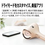 シャープ プラズマクラスタードレープフロードライヤー IB-WX-3-N