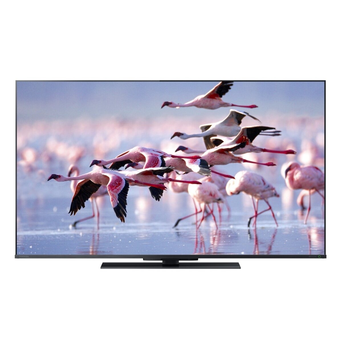 東芝 レグザ 50インチ 4K 液晶テレビ 50Z670K