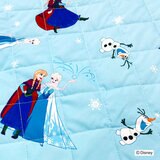 モリシタ キャラクター クールちょこっと敷パッド 100×65cm アナと雪の女王