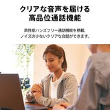 AVIOT 完全ワイヤレスイヤホン TE-M1 ブラック