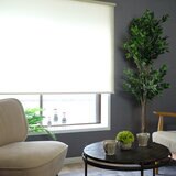 トーソー ロールスクリーン ラビータ 180 cm x 200 cm プレーンアイボリー