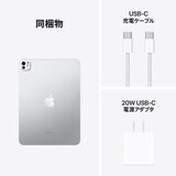 Apple iPad Pro 11インチ M4 WiFi 1TB 標準ガラス搭載 シルバー