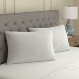 Tranquilty ハガブル枕 2個パック